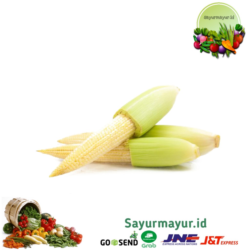 

JAGUNG PUTREN / JAGUNG KECIL SAYURAN PER 1/4 (250 GRAM)