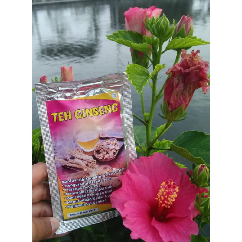 

TEH GINSENG KEMASAN SACHET