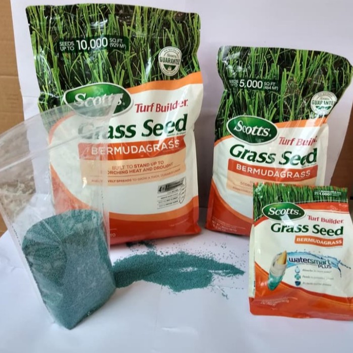 Biji rumput untuk lapangan bola lapangan golf - biji rumput bermuda Kamasan 1kg