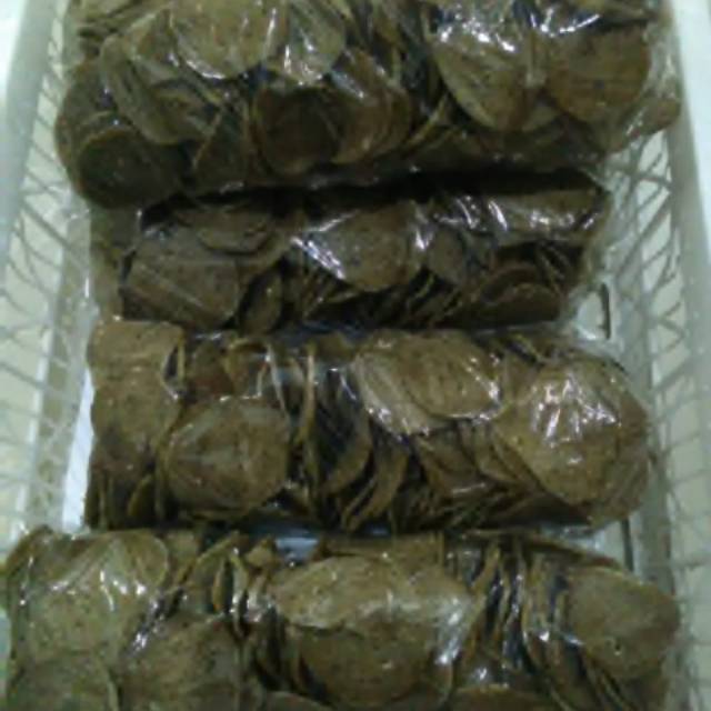 

Kerupuk kerang mentah 1/2 kg