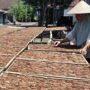 SALE PISANG TASIK 75gr