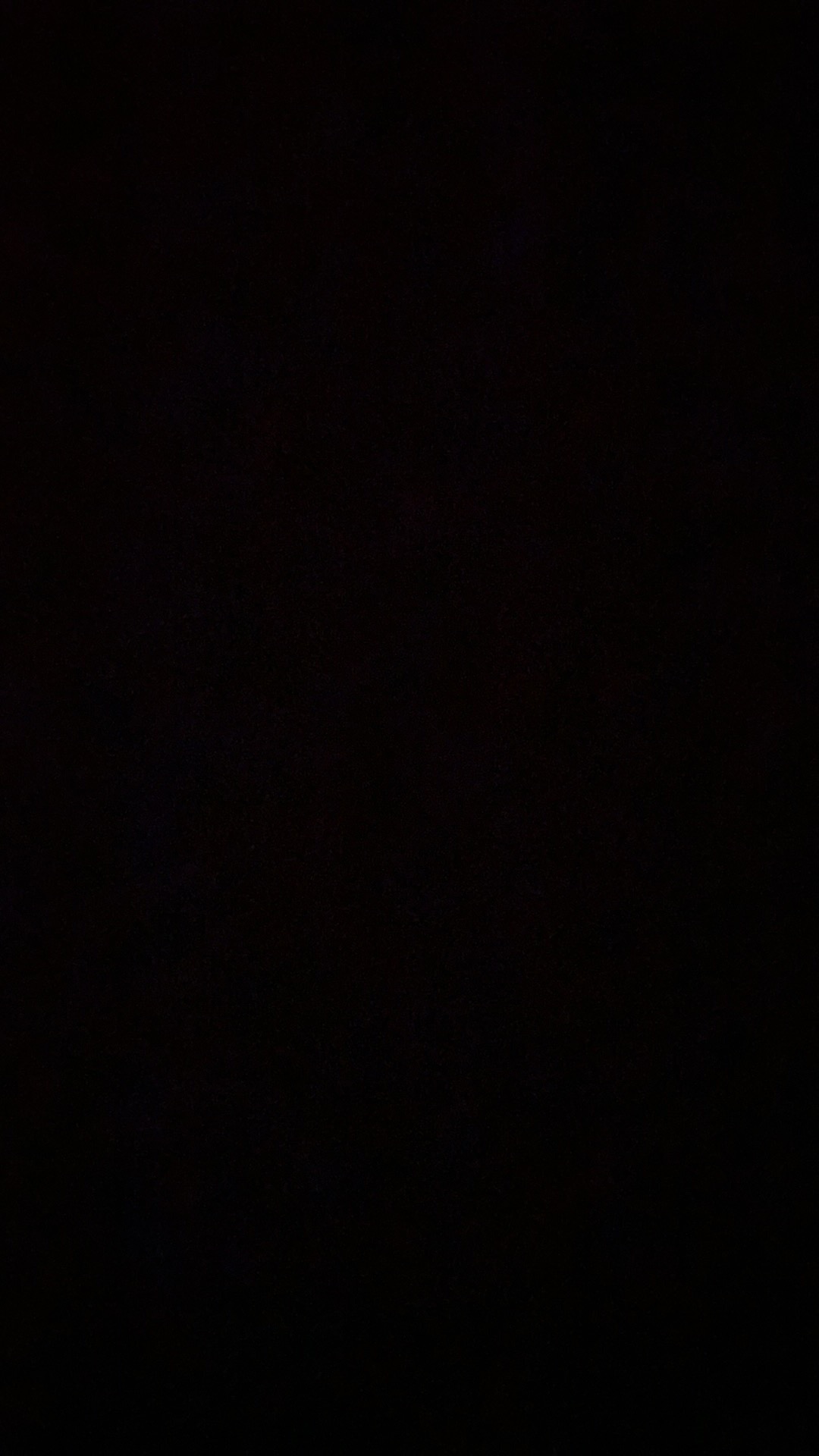 Electric Chain Saw Nankai