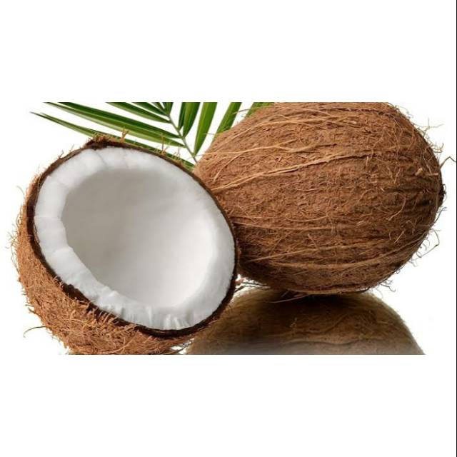 

Kelapa Utuh / Kelapa Asli Sumenep belike.co