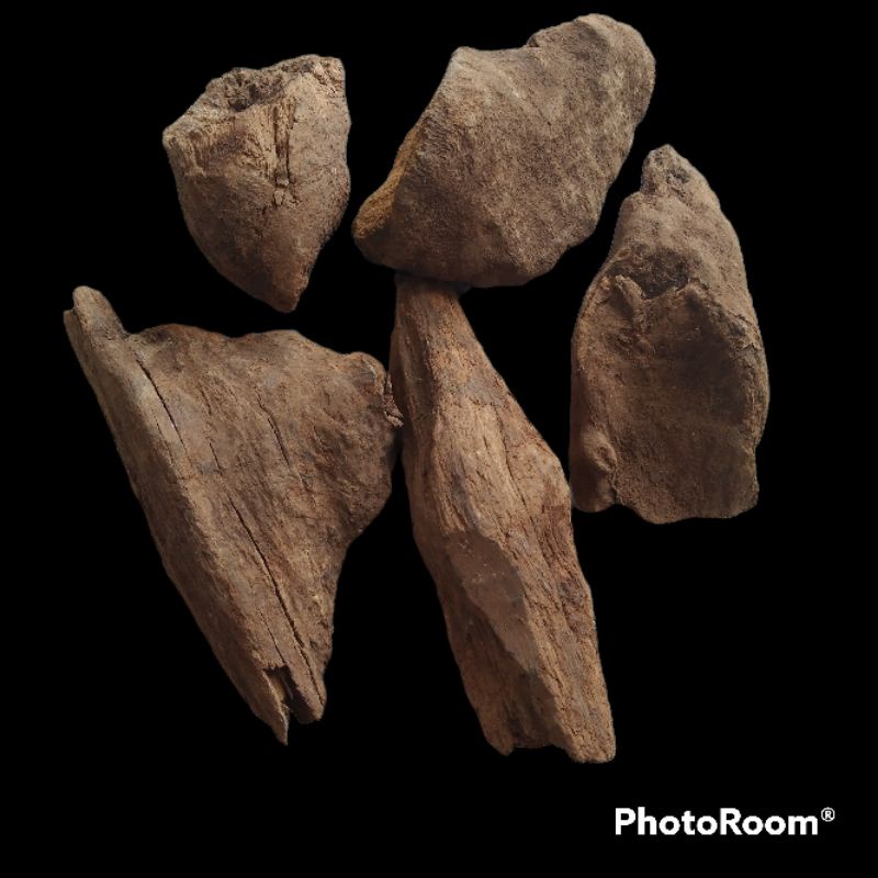 Bahan Fosilan Dekor Kayu Gaharu Kalimatan 1 kg