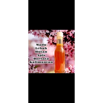 

madu apis dorsata 100% murni