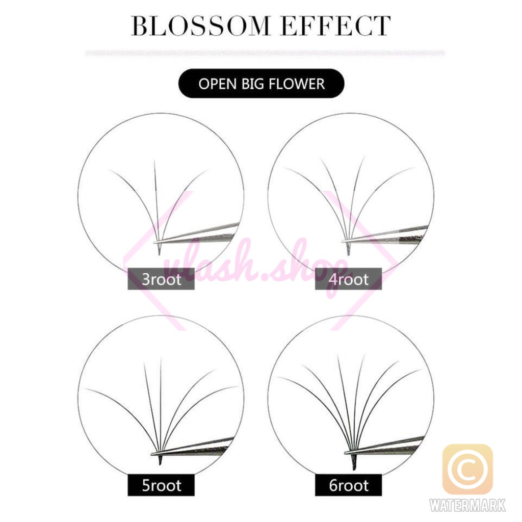 YELIX BLOOM / RUSSIAN LASH / BULUMATA /EYELASH EXTENSION