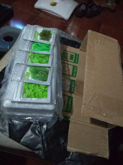 Tray Semai Putih Untuk Hidroponik, Organik Dan Micro Green