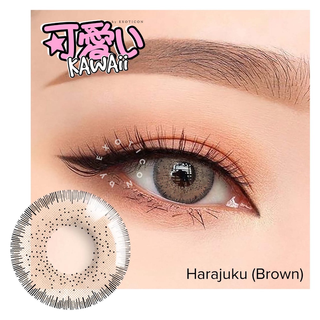 SOFTLENS MINUS KAWAII HARAJUKU (BROWN) &amp; ASAKUSA (BLUE) by EXOTICON