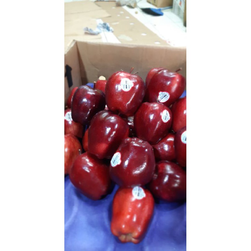 

apel merah wasington fresh 1kg