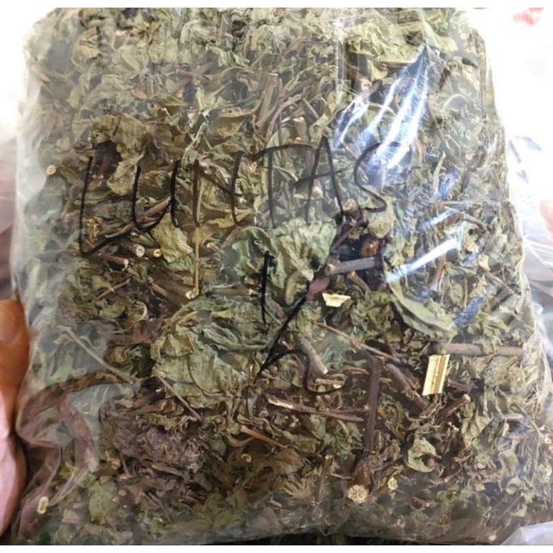 

Daun Beluntas Kering 500gr - Daun Luntas Kering Asli