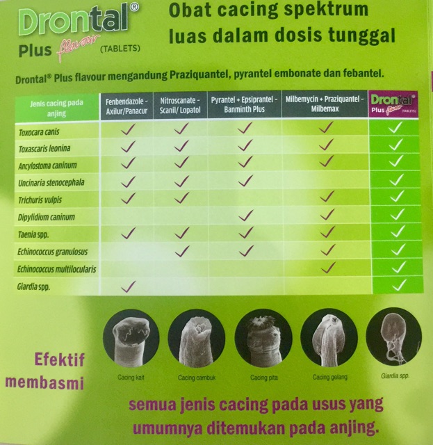 Drontal plus Dog Per Tablet Obat Cacing Anjing