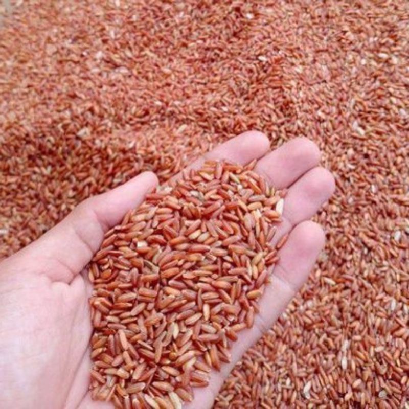 

Beras Merah 1 Liter Murah