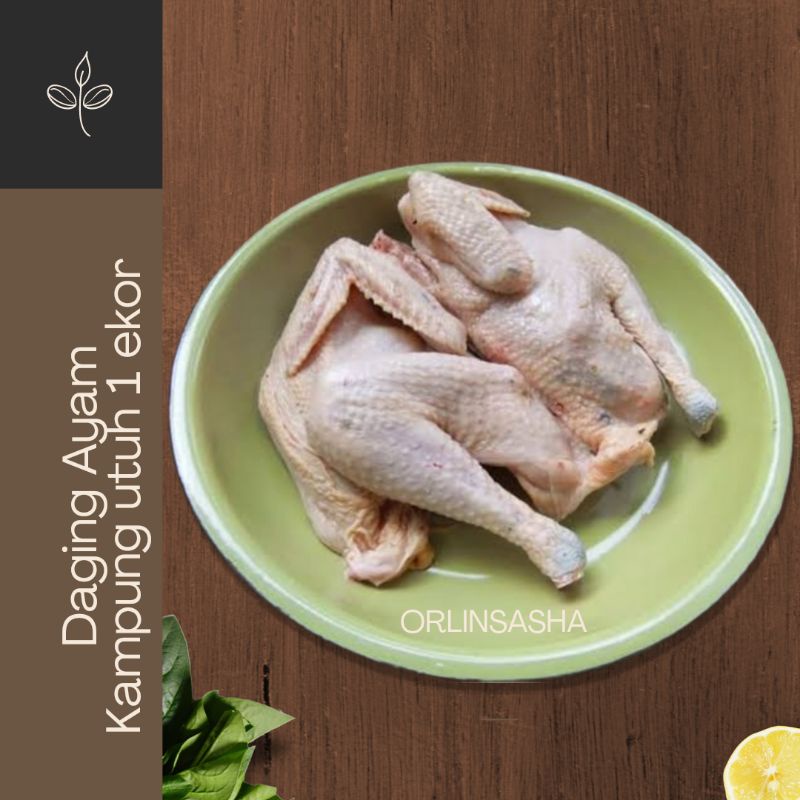 

DAGING AYAM KAMPUNG UTUH 1 EKOR
