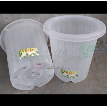 Pot Yogap YPT 10 Bening/ Pot Plastik/ Pot Cantik/ Pot Bunga