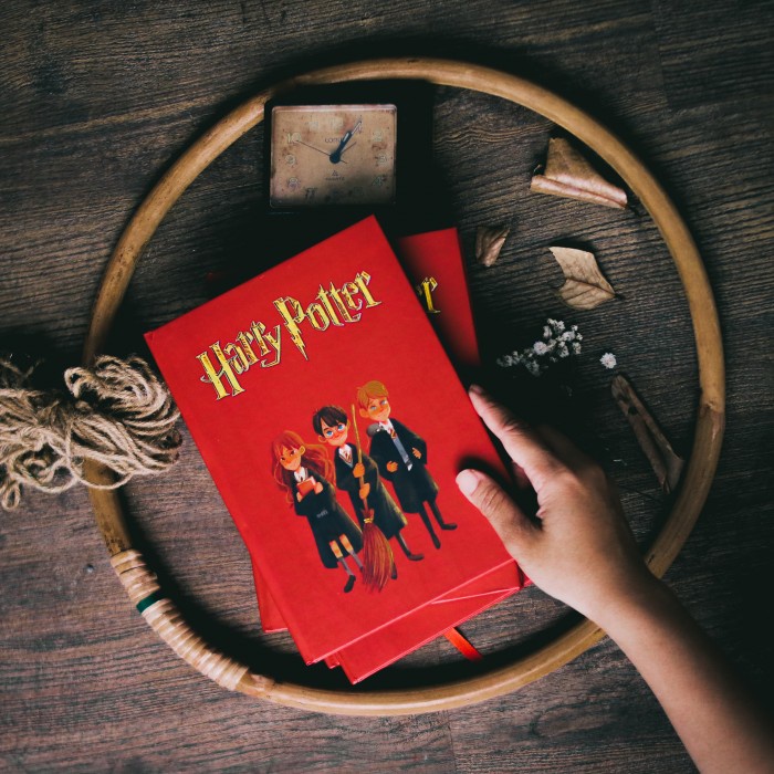 

[RESTOCK] Buku Notebook Journal Agenda, Polos dan dotted Harry Potter Trio - A5 Hard Agenda