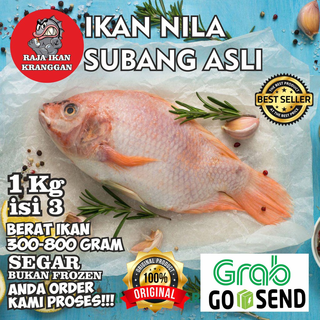 

Ikan nila