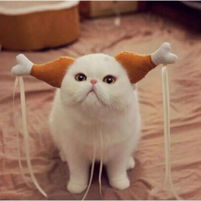 Bando kucing anjing bentuk tulang ayam/drumstick