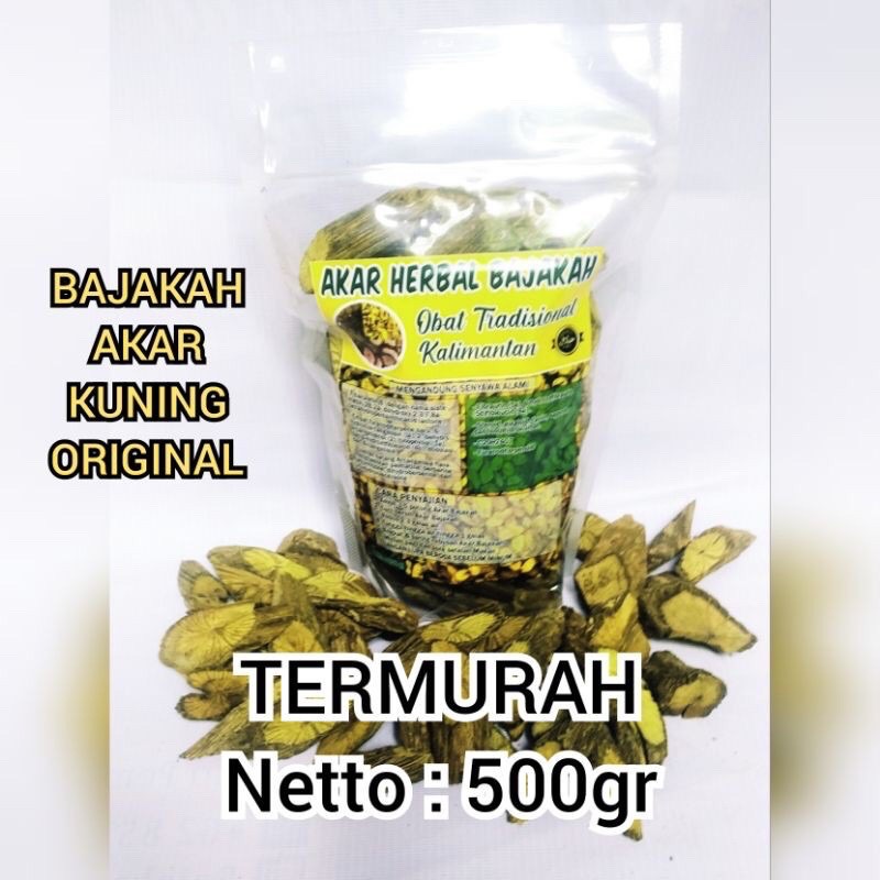 

AKAR KAYU BAJAKAH KUNING PREMIUM 500GR ASLI KALIMANTAN ORIGINAL