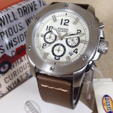 Fossil FS4929 Silver Brown EER