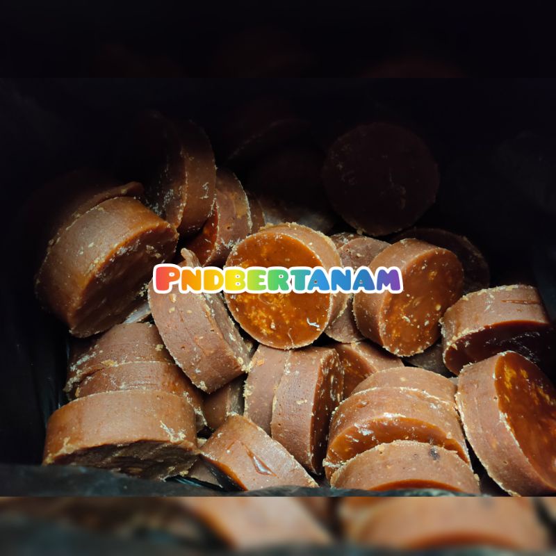 

GULA AREN ASLI / GULA CIAMIS / GULA PANGANDARAN PERBIJI MURAH