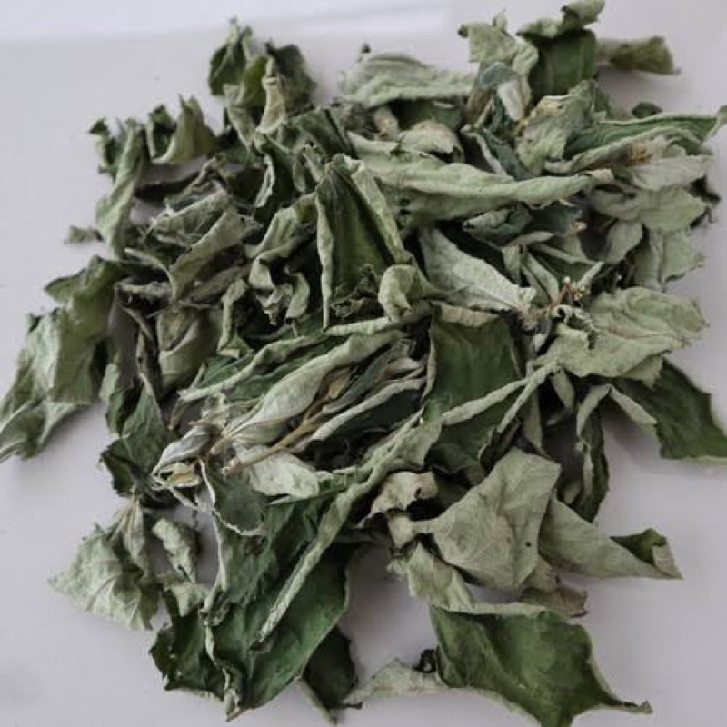 

Daun Kersen Kering / Simplisia Daun Kersen / Daun Talok 500 g - 1 kg