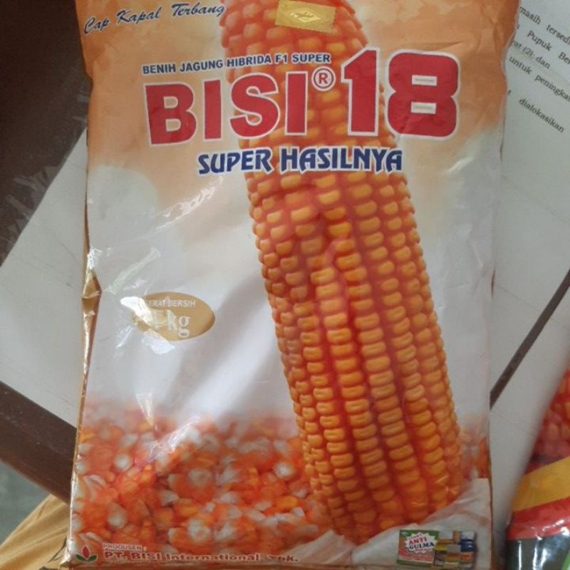 jagung bisi 18