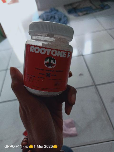 Zat Pengatur Tumbuh (zpt) Rootone F