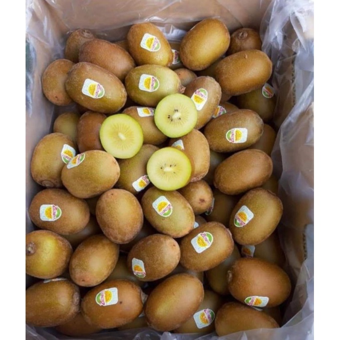 

BUAH KIWI GOLD GOLDEN KIWI ZESPRI NEW ZEALAND GROSIR MURMER