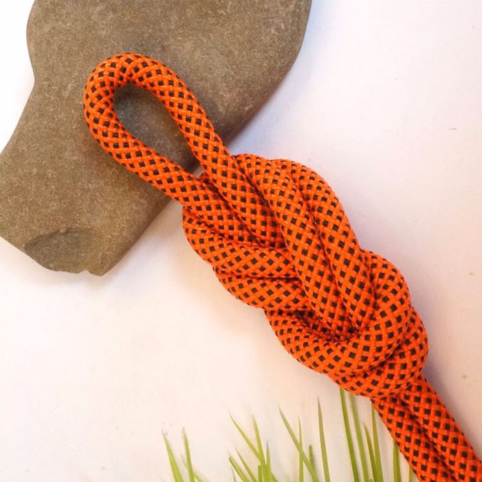 NTR Tali rappelling Safety Climbing Rope 10 Meter - E203950 - Orange