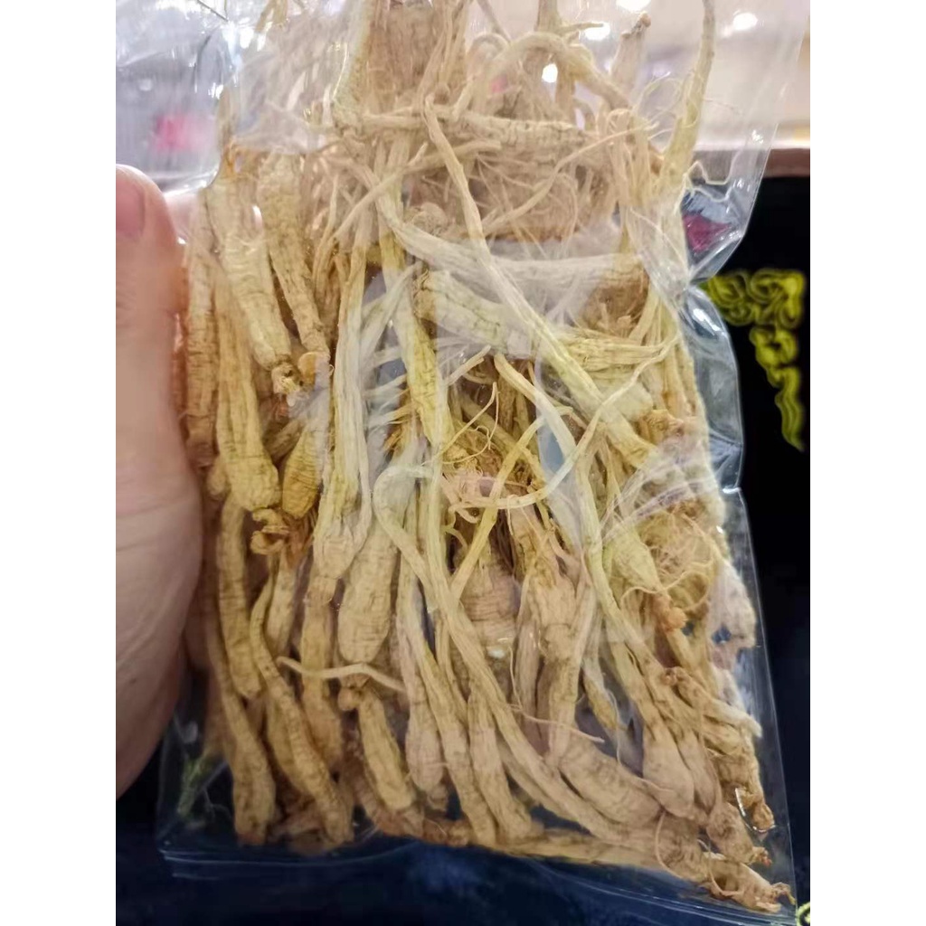 

Anak Ginseng kering 小干参 100 gram lebih hemat