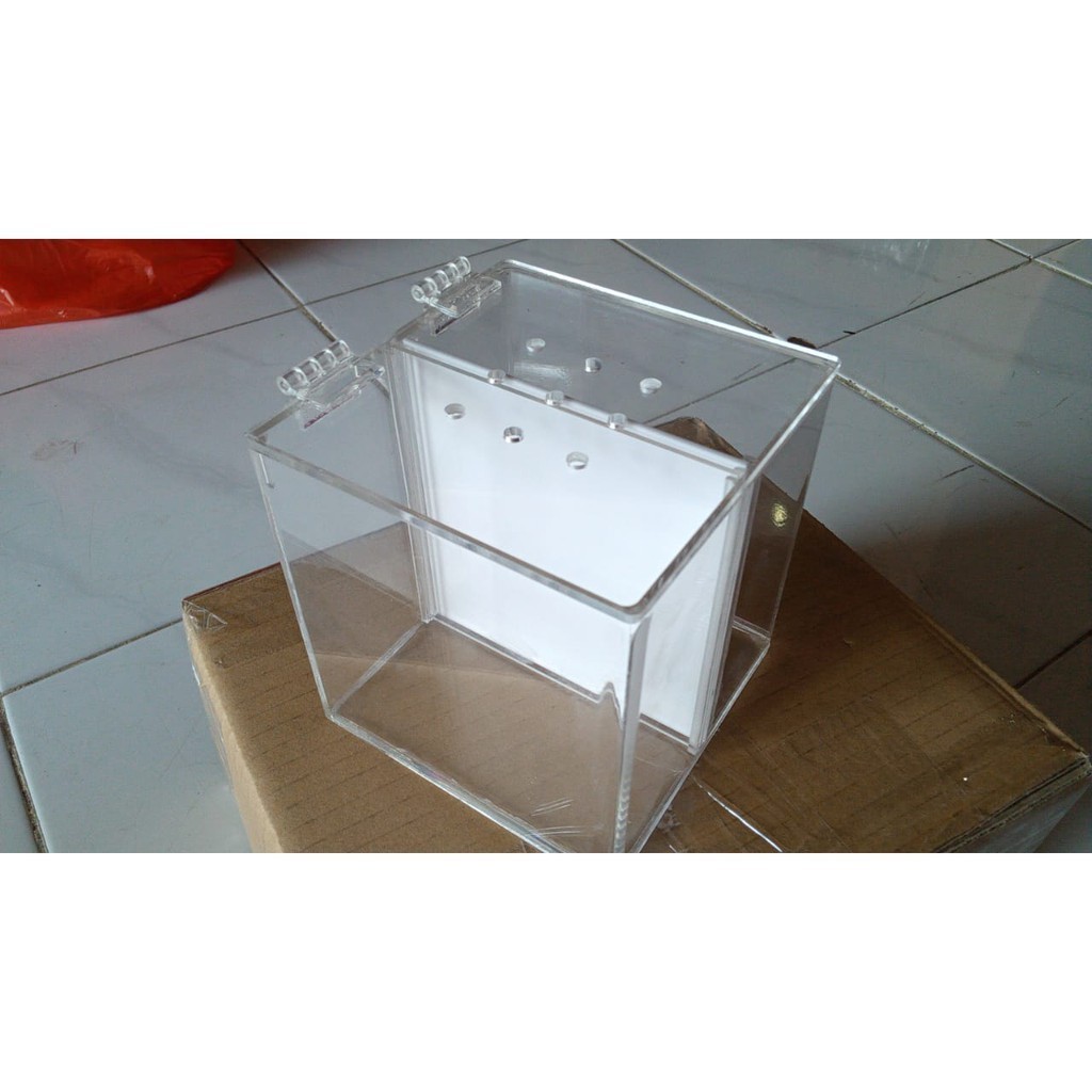 AQUARIUM CUPANG AKRILIK/SOLITER ACRYLIC UK 12X12X12 CM 2 RUANGAN PAKAI TUTUPAN ENGSEL