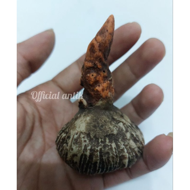 BARANG ANTIK BATU KELAPA