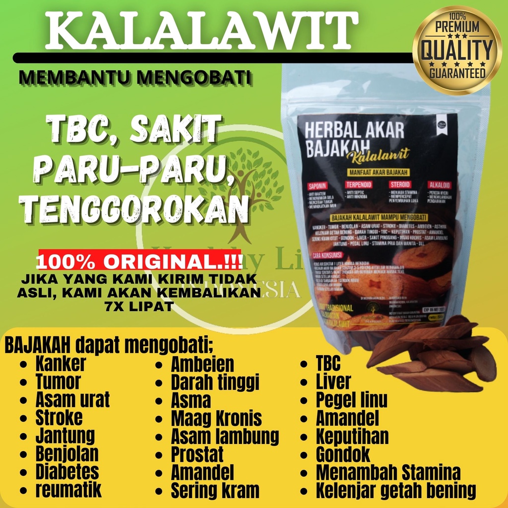 HEALTHYLIFE - Kapsul Gurah Obat Sakit Tenggorokan Obat Batuk Berdahak Meluruhkan Dahak Obat Sesak Nafas Napas Paru paru Obat ASMA TBC Bronkitis Herbal-AKAR KALALAWIT 100Gr