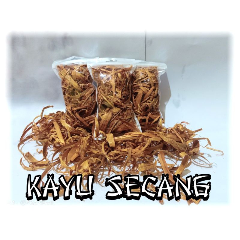

Kayu Secang Ikan Cupang Chana Predator