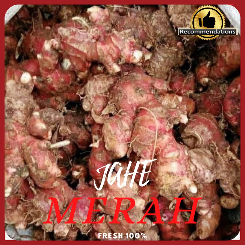 

JAHE MERAH SEGAR 1KG & ASLI TUA BESAR