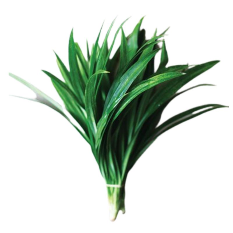 

daun pandan 1 ikat
