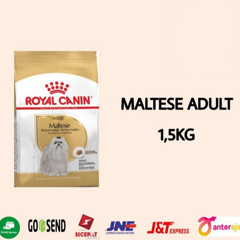 PROMO ROYAL CANIN MALTESE ADULT 1,5KG