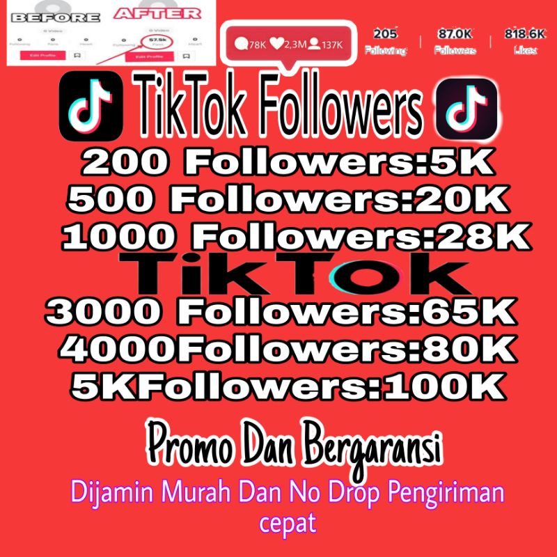 Followers Tiktok Murah Bergaransi No Drop Cuman Butuh Username