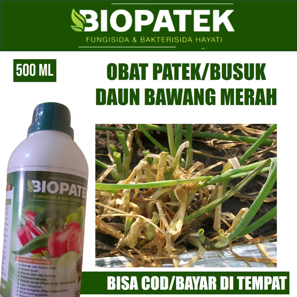 Baymarkeet Biopatek 500 Ml Obat Hama Patek Bawang Merah, Obat Hama Busuk Daun Bawang Merah Biopatek