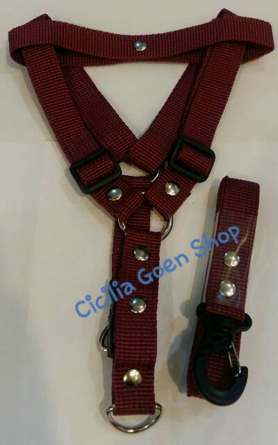 2 Cm Harness Y + Tali tuntun / tali kekang / tali badan anjing dog