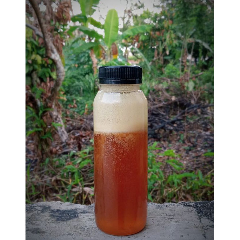 

madu hutan asli Sumatra