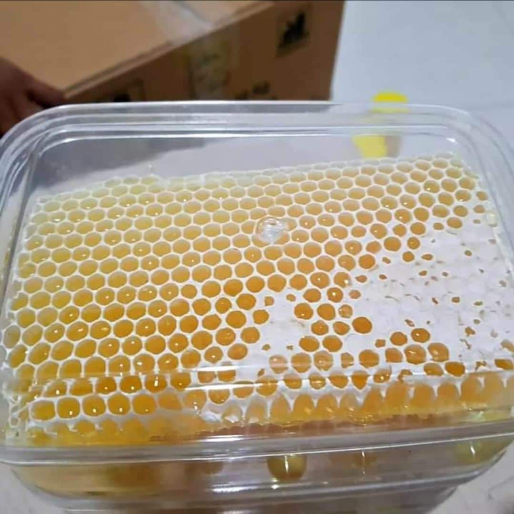 

Madu Sarang Olhoney 250gr (Reseller)
