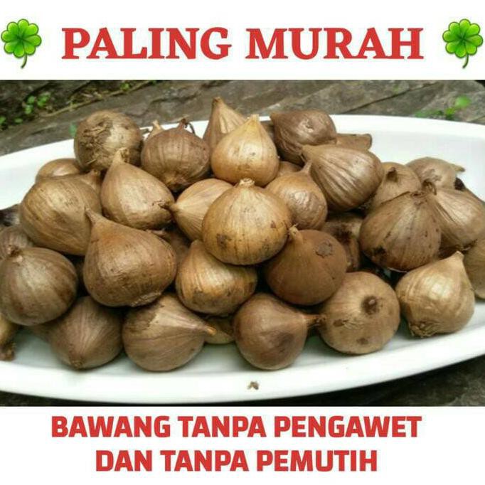 

On Salee Black Garlic /Bawang Hitam Tunggal/Bawang Hitam Lanang 1 Ons/100Gram Neww