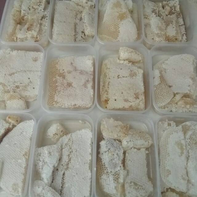 

Madu sarang dari lebah apis cerana