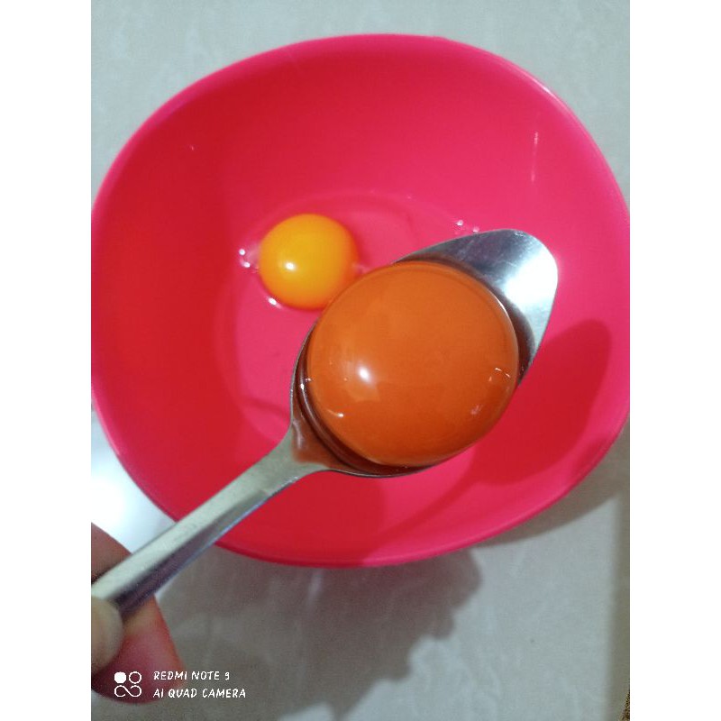 

RB Telur Ayam Negri Omega/Organik Fresh per KG