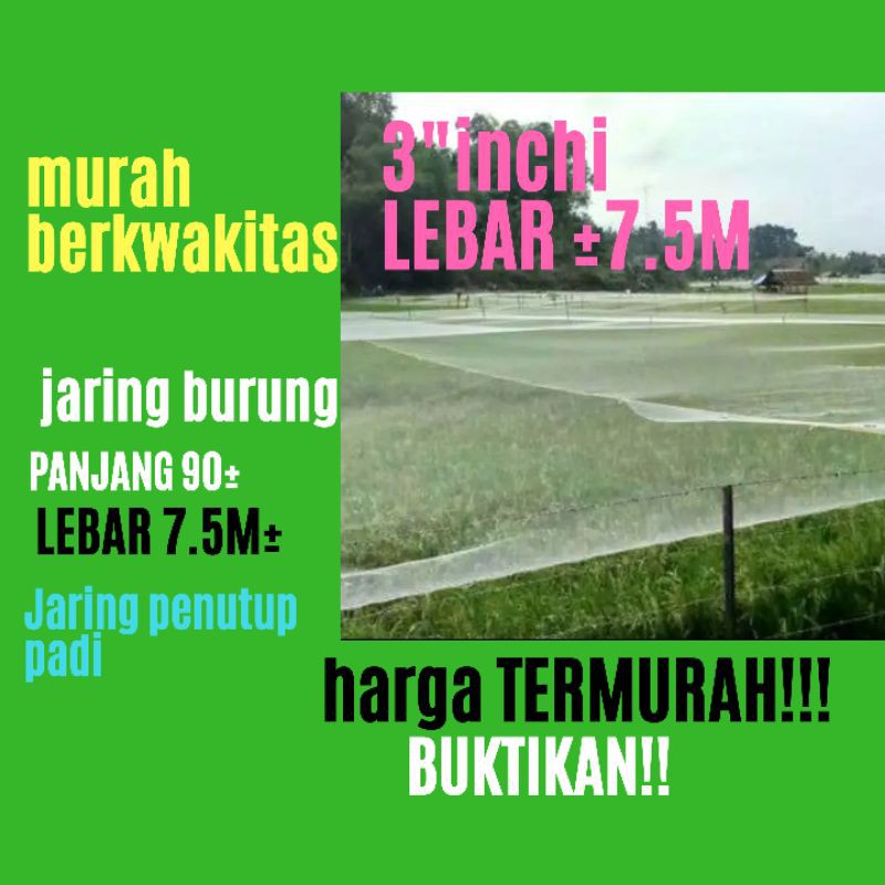 JARING BURUNG/JARING PADI/JARING SAWAH UNTUK PENGHALO PENGAMAN PADI LEBAR 7'5M PANJANG 90 M