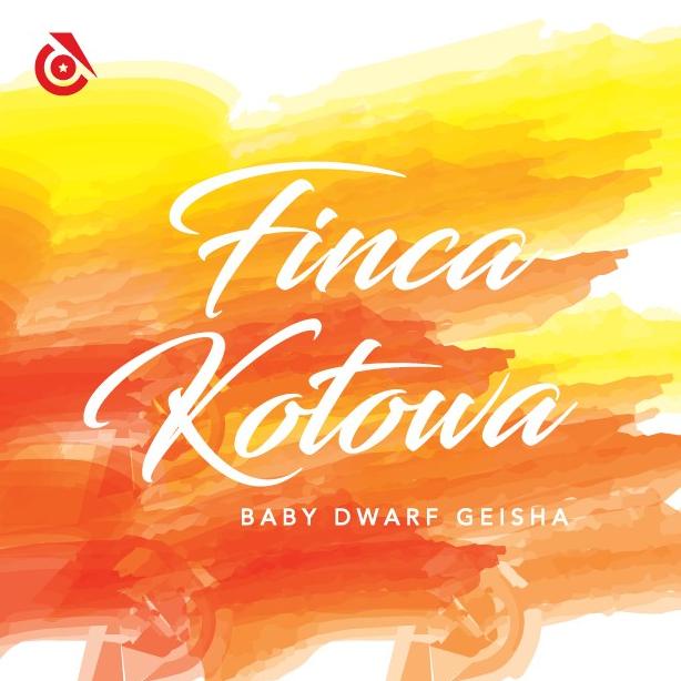 

Finca Kotowa Geisha - Instinct Coffee - Biji Kopi