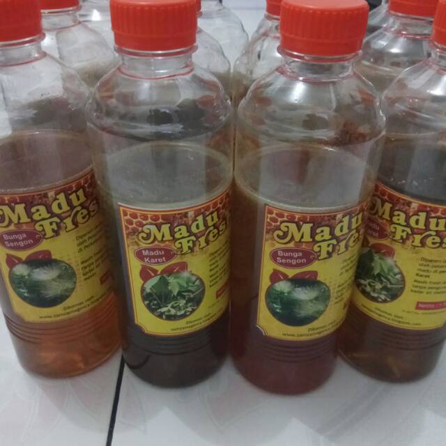 

madu asli madu hutan karet dan madu sengon