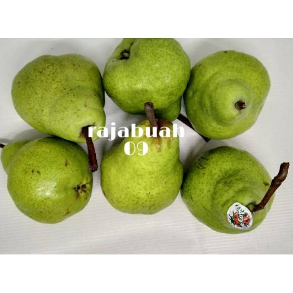 

ZDL Pir Pakham / Pear Hijau 500 Gram DL Z HSM