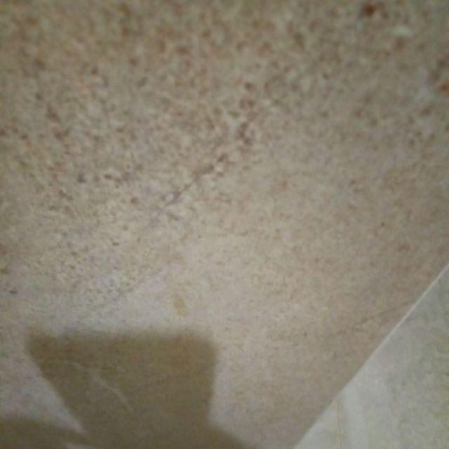 Paket 2pcs Nampan Alas Tray + 2pcs Tray Semai 128 Lubang